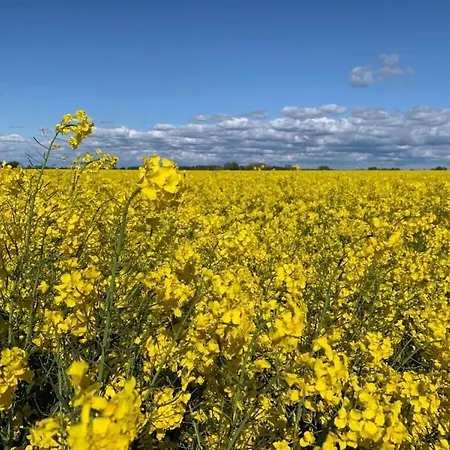 Dom wakacyjny One-bedroom Scharbeutz