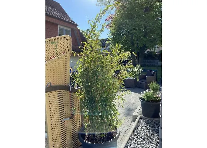 One-bedroom Semesterbostad