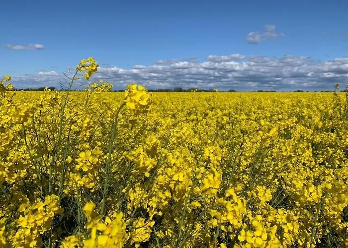 Semesterbostad One-bedroom Scharbeutz